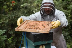 Plant-specialist